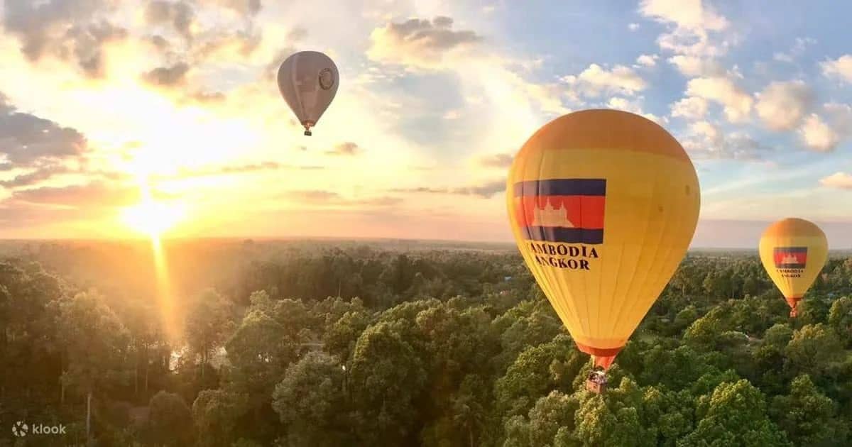 Hot air balloons above forest at sunset