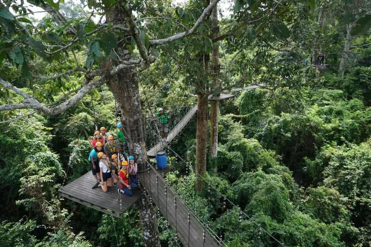 Group on a suspension bridge in the forest